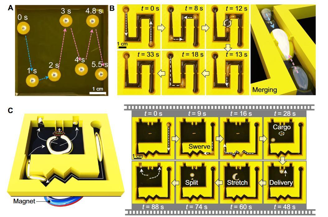百家乐玩法介绍 - 百家乐技巧