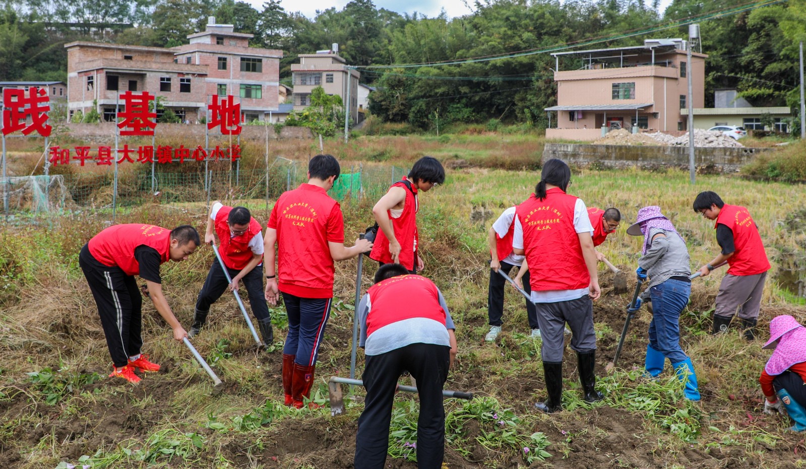 百家乐玩法介绍 - 百家乐技巧