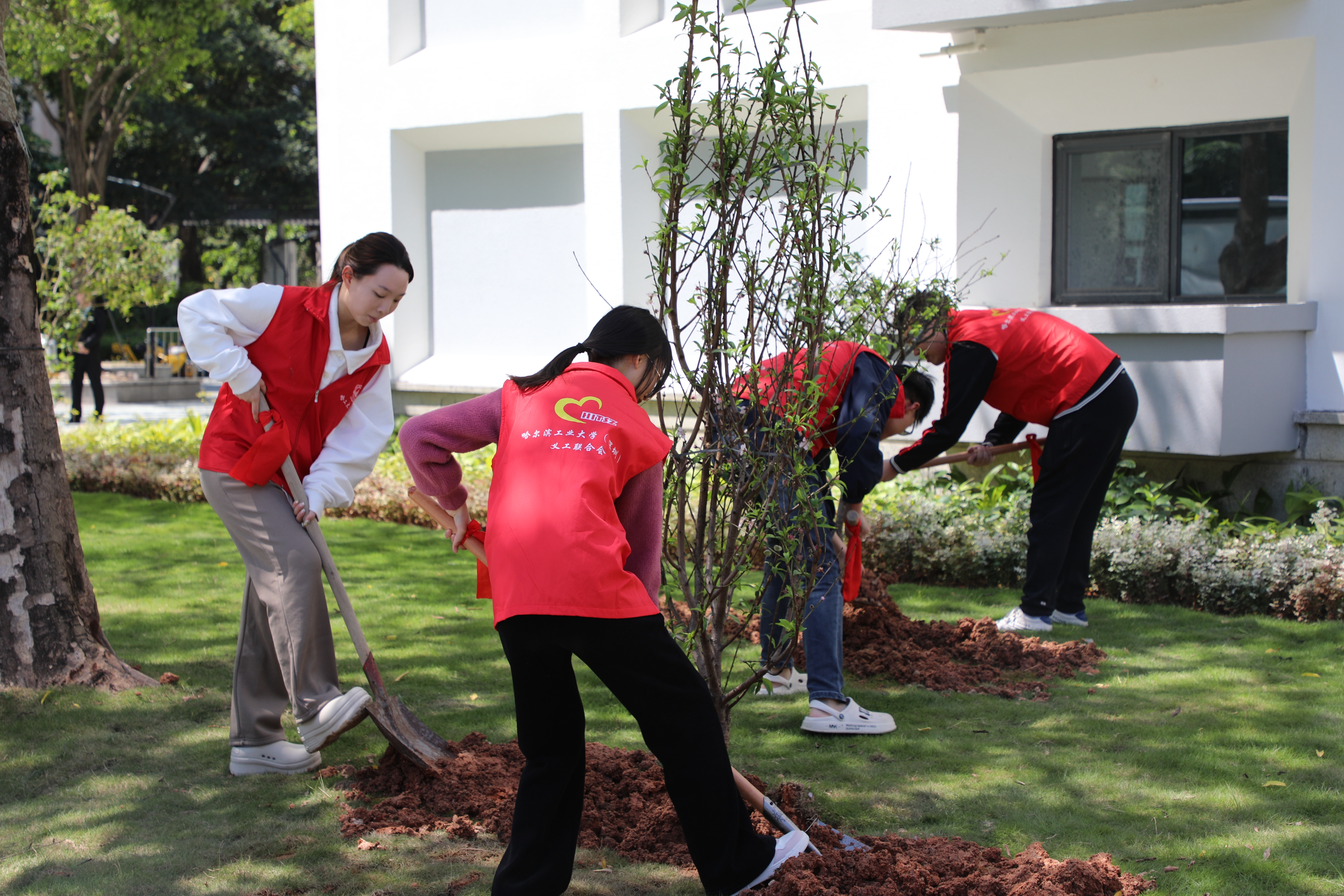 百家乐玩法介绍 - 百家乐技巧