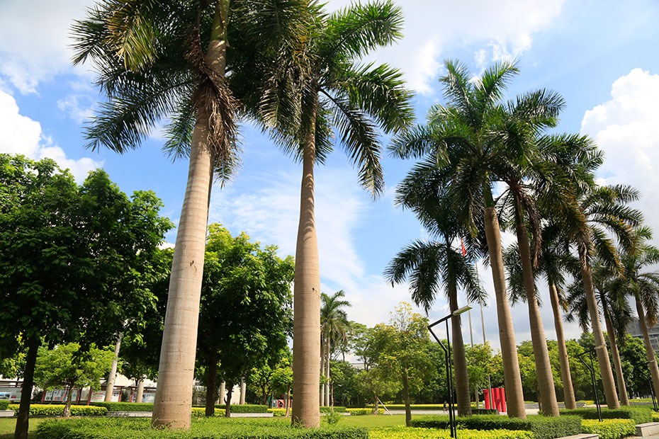 百家乐玩法介绍 - 百家乐技巧