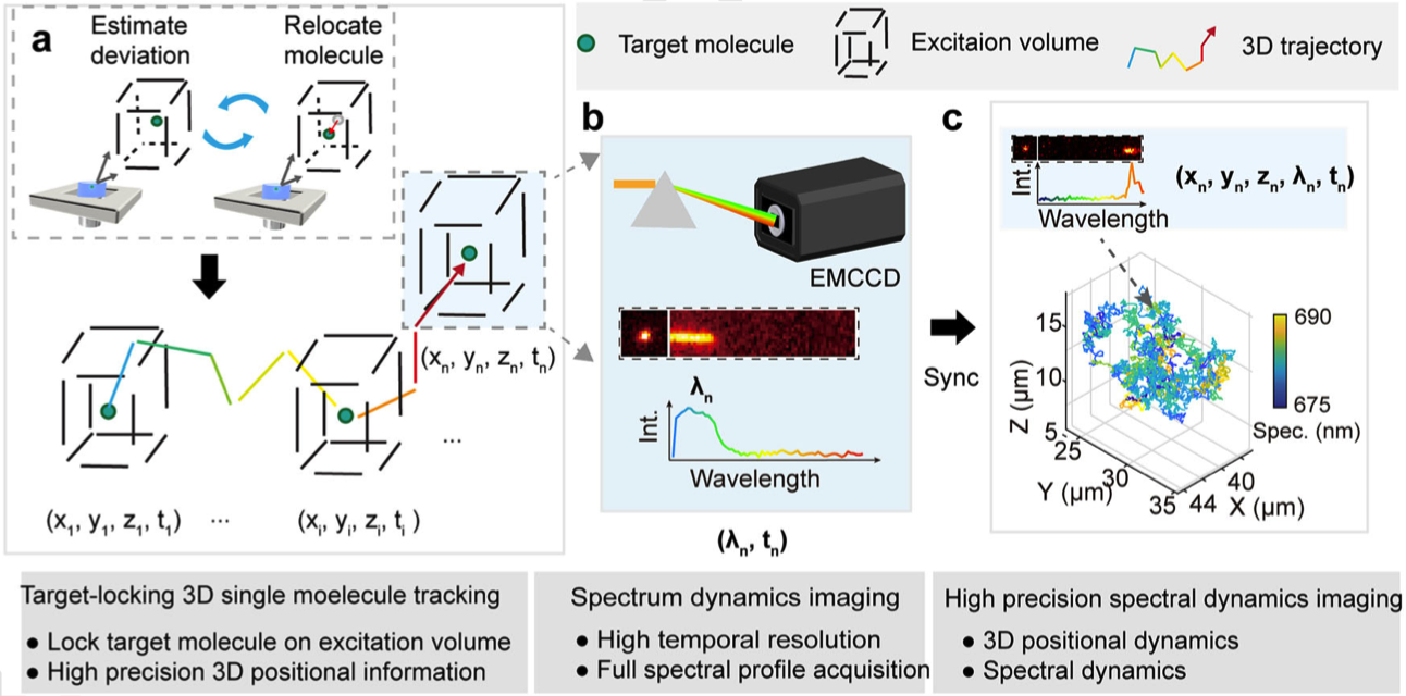 1760683682059097646.png 百家乐玩法介绍 - 百家乐技巧