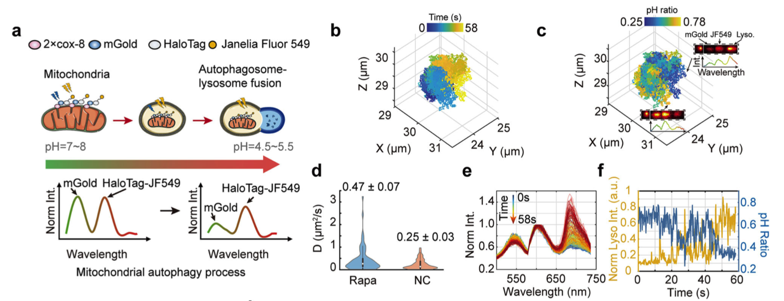 1760683698021081922.png 百家乐玩法介绍 - 百家乐技巧