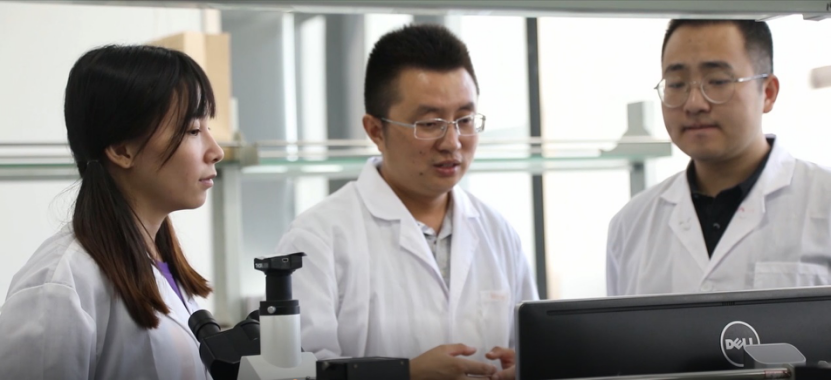 百家乐玩法介绍 - 百家乐技巧