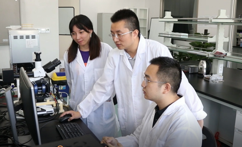 百家乐玩法介绍 - 百家乐技巧