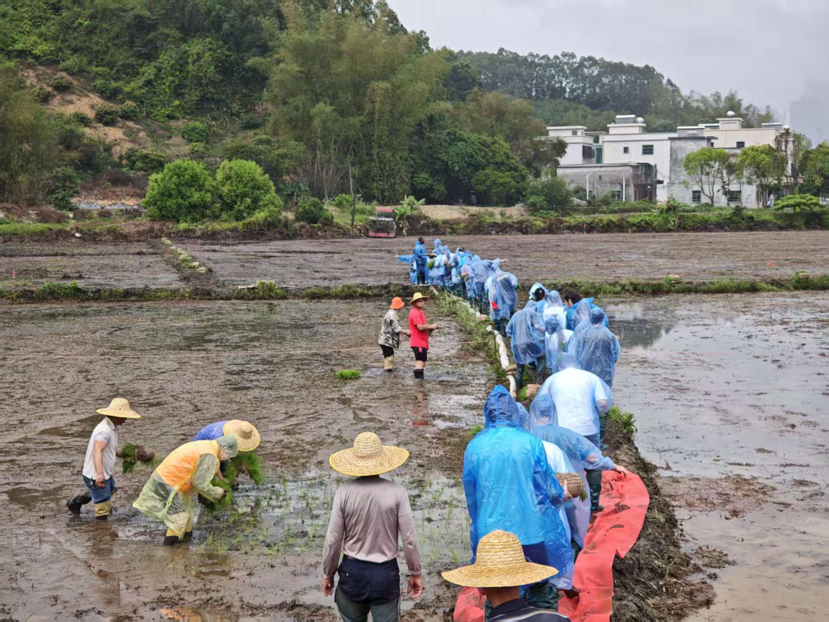 百家乐玩法介绍 - 百家乐技巧