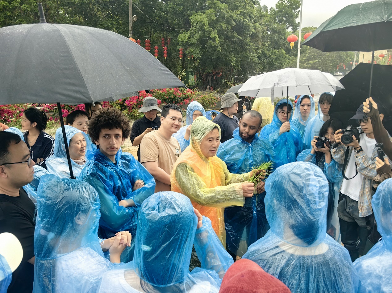 百家乐玩法介绍 - 百家乐技巧