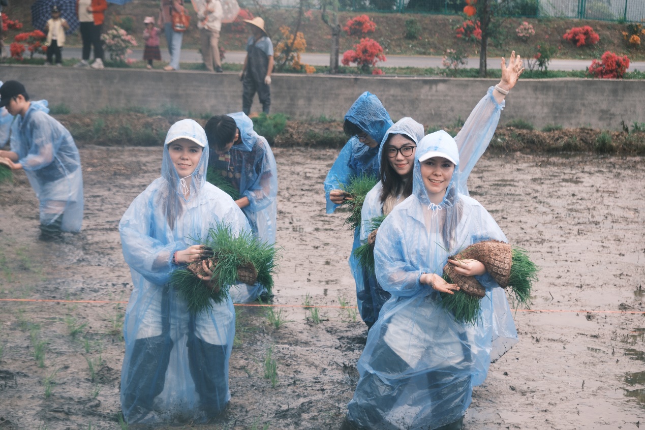 百家乐玩法介绍 - 百家乐技巧
