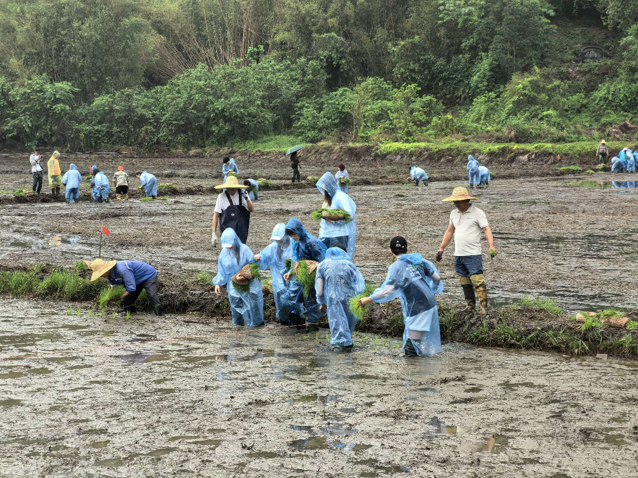 百家乐玩法介绍 - 百家乐技巧