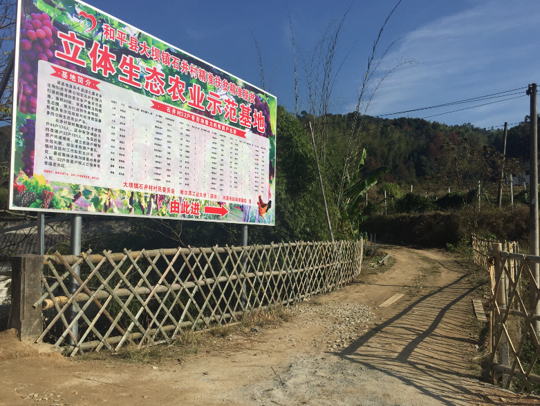 百家乐玩法介绍 - 百家乐技巧