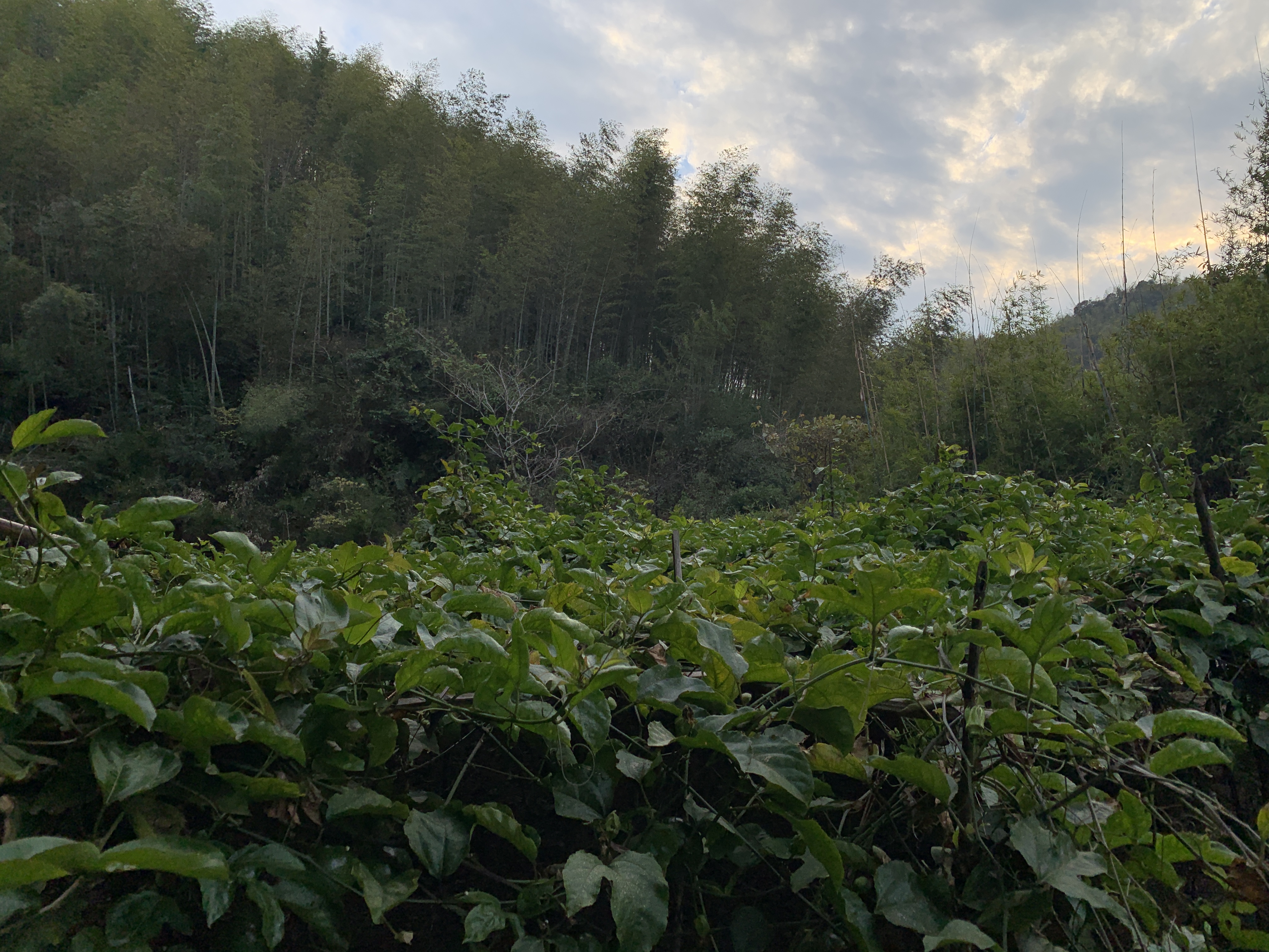 百家乐玩法介绍 - 百家乐技巧