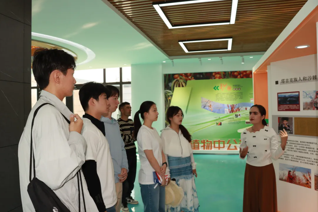 1755672725021014156.png 百家乐玩法介绍 - 百家乐技巧