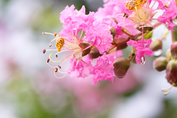 百家乐玩法介绍 - 百家乐技巧