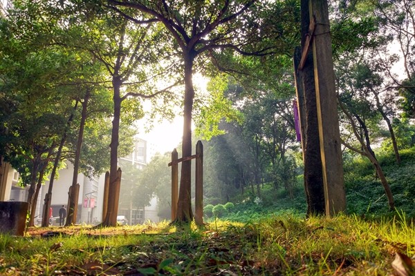 百家乐玩法介绍 - 百家乐技巧