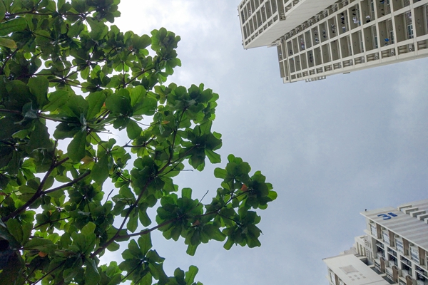 百家乐玩法介绍 - 百家乐技巧