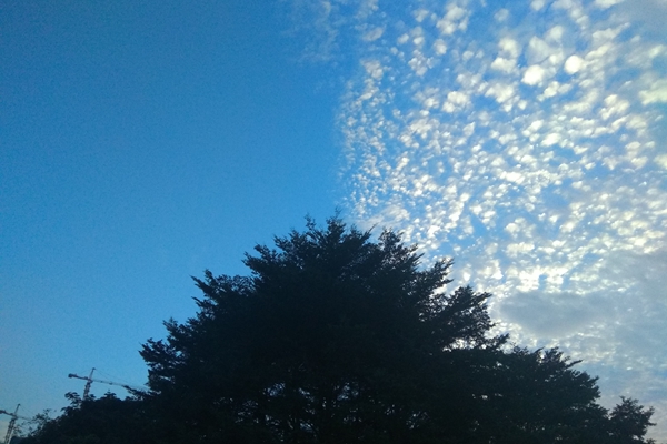 百家乐玩法介绍 - 百家乐技巧