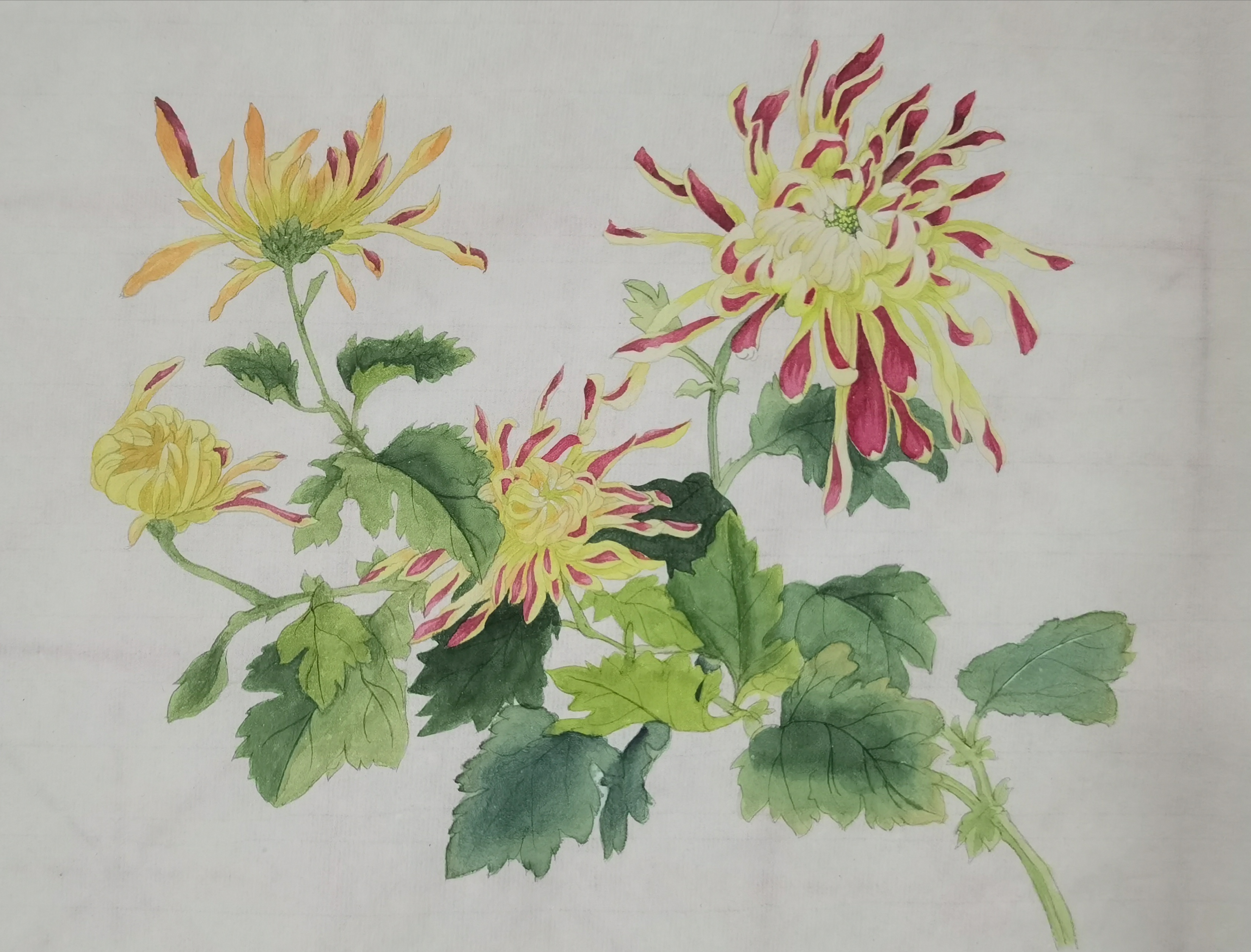 百家乐玩法介绍 - 百家乐技巧