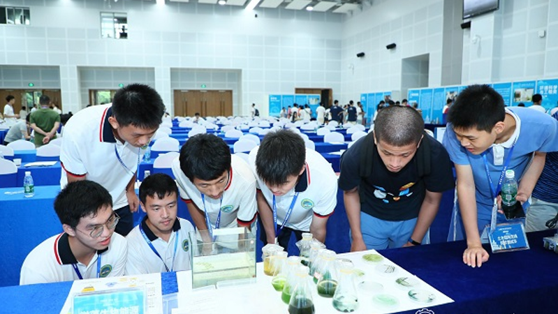 百家乐玩法介绍 - 百家乐技巧