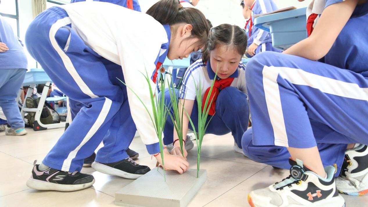 1744531293205083832.jpg 百家乐玩法介绍 - 百家乐技巧