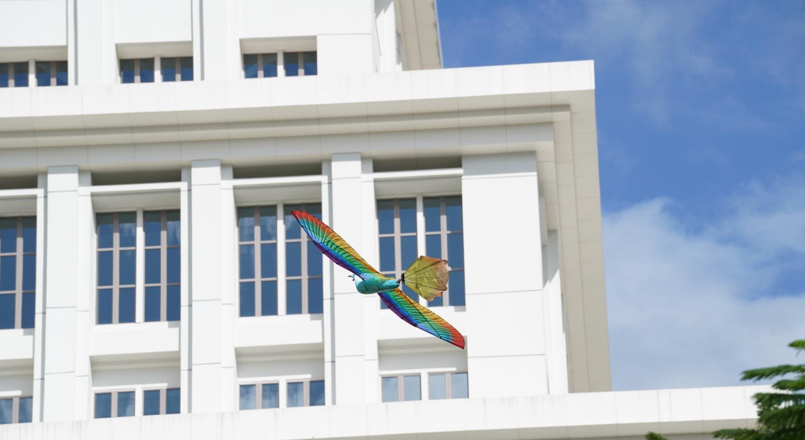 百家乐玩法介绍 - 百家乐技巧