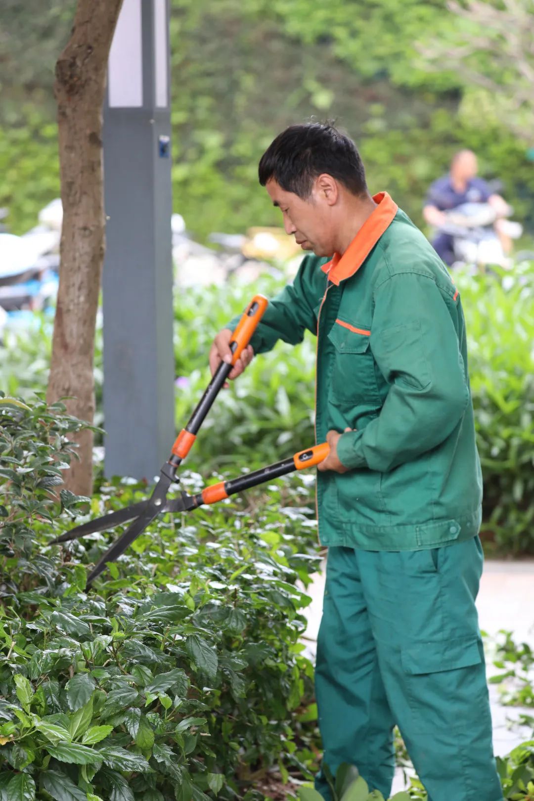 百家乐玩法介绍 - 百家乐技巧