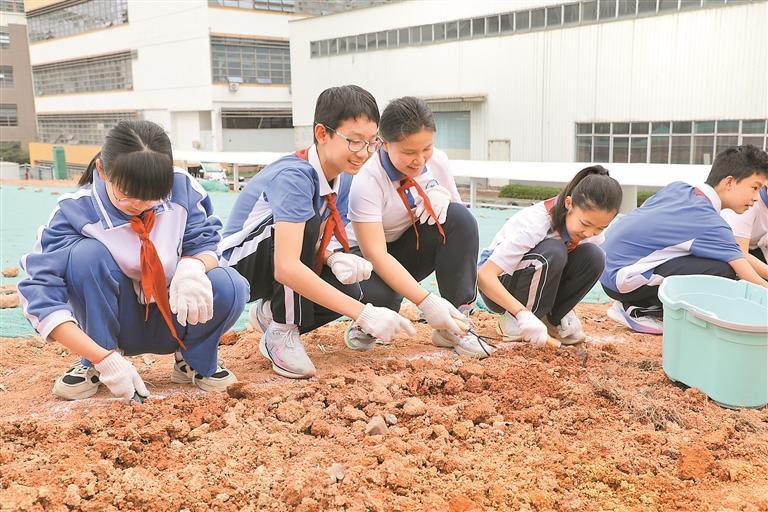 百家乐玩法介绍 - 百家乐技巧