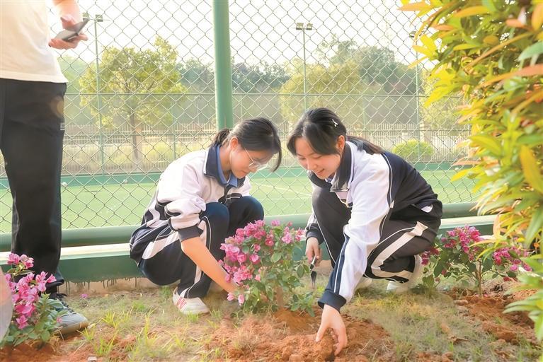 百家乐玩法介绍 - 百家乐技巧