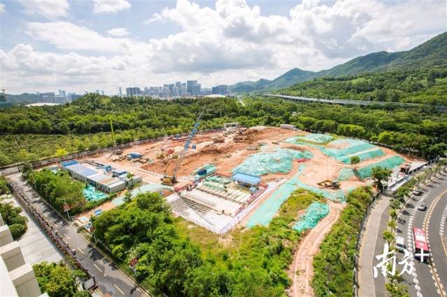 百家乐玩法介绍 - 百家乐技巧