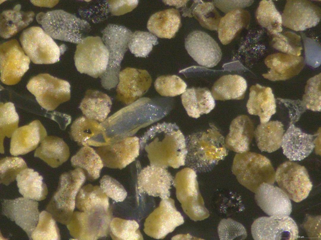 百家乐玩法介绍 - 百家乐技巧