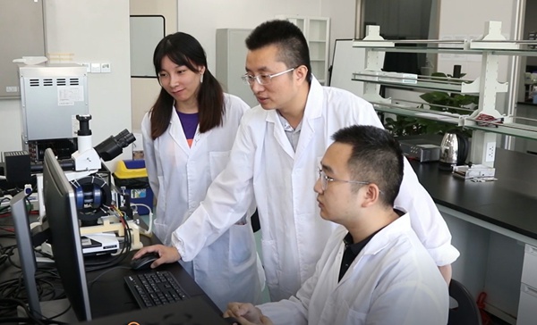 百家乐玩法介绍 - 百家乐技巧