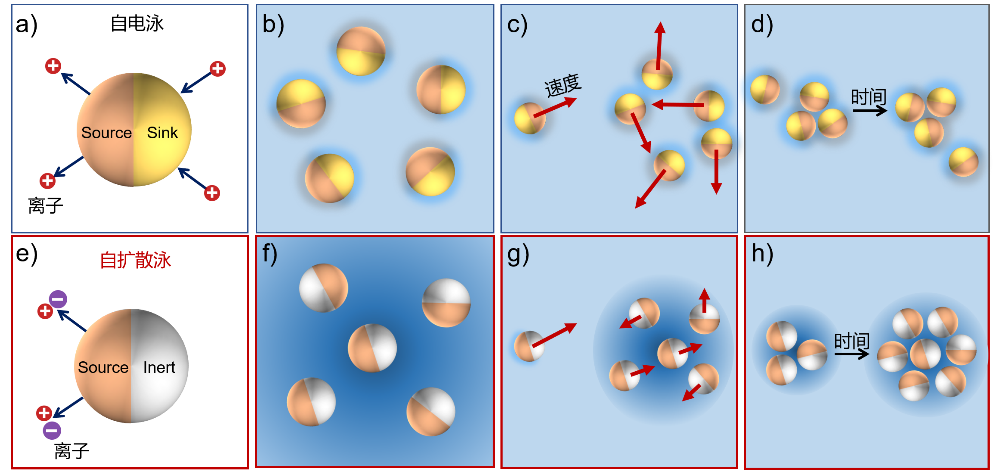 百家乐玩法介绍 - 百家乐技巧
