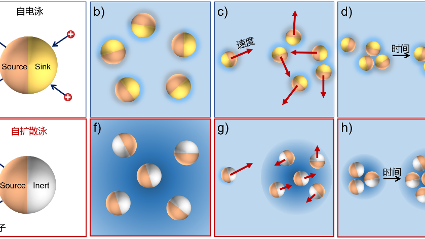 百家乐玩法介绍 - 百家乐技巧