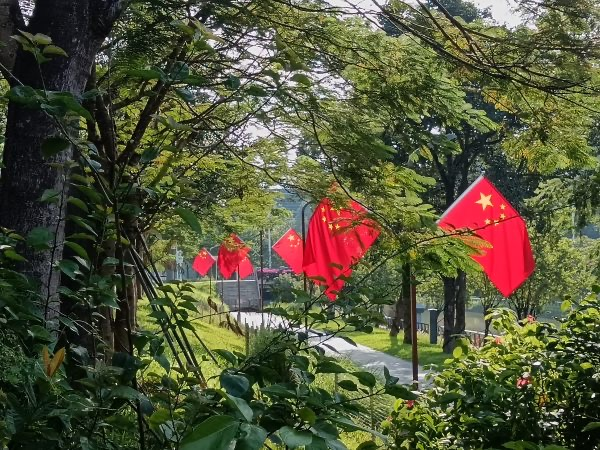 百家乐玩法介绍 - 百家乐技巧