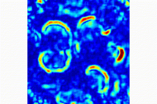 百家乐玩法介绍 - 百家乐技巧