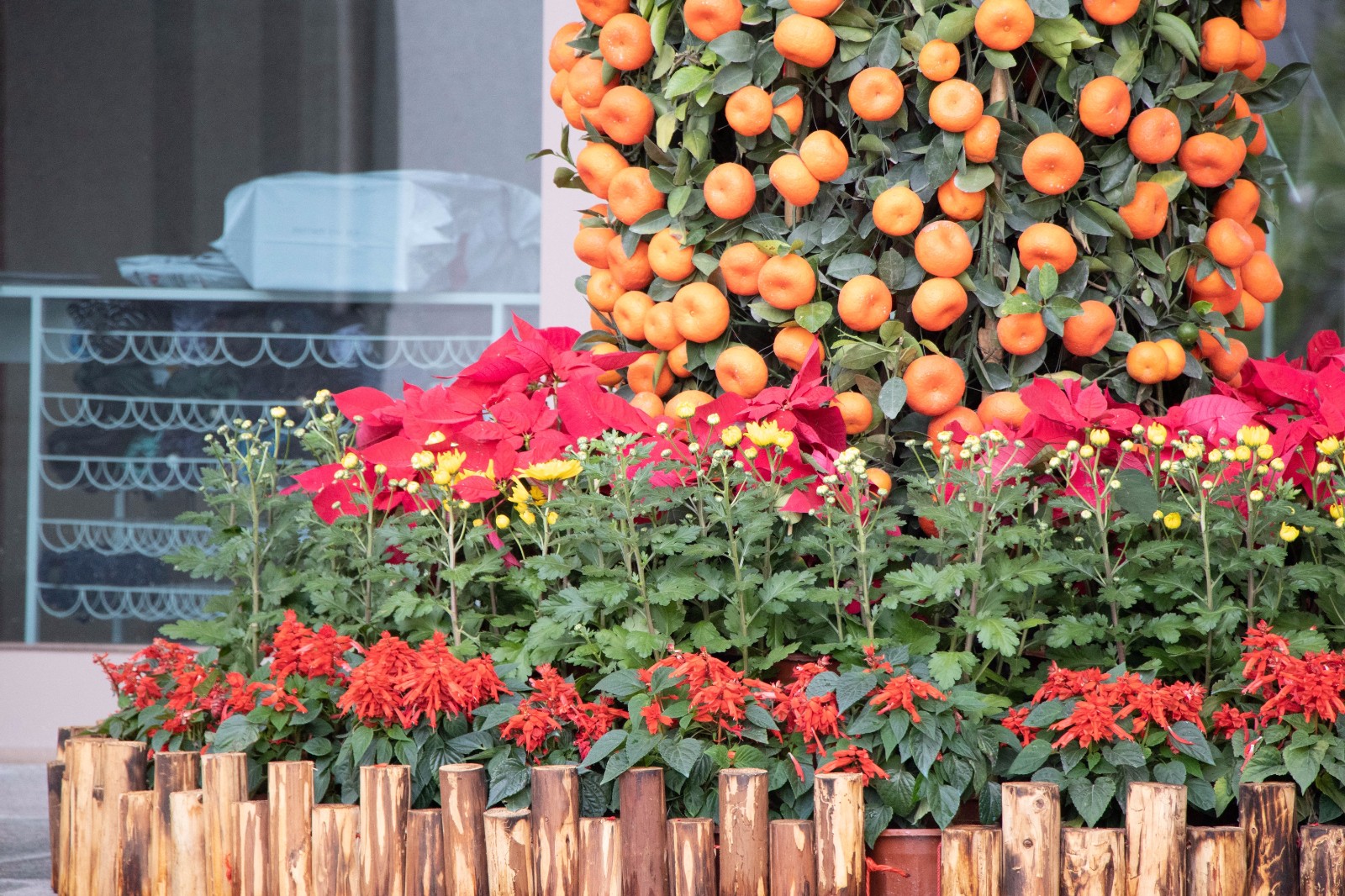 百家乐玩法介绍 - 百家乐技巧