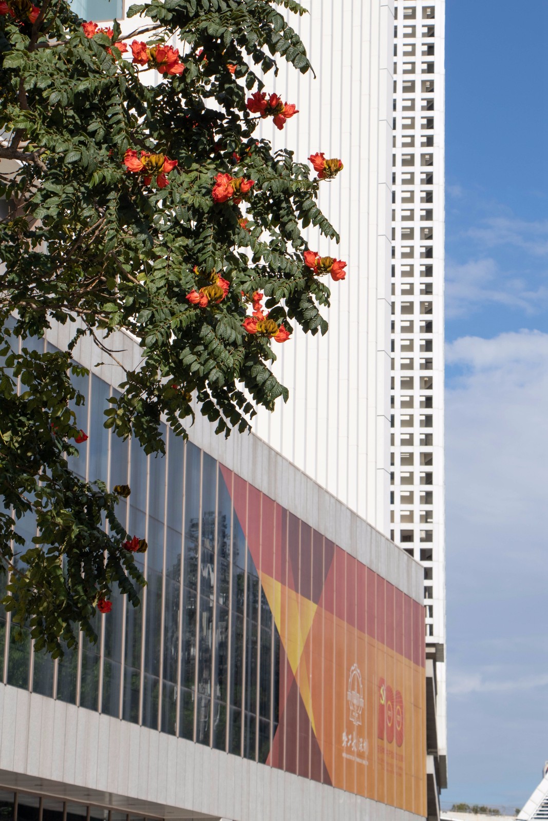 百家乐玩法介绍 - 百家乐技巧