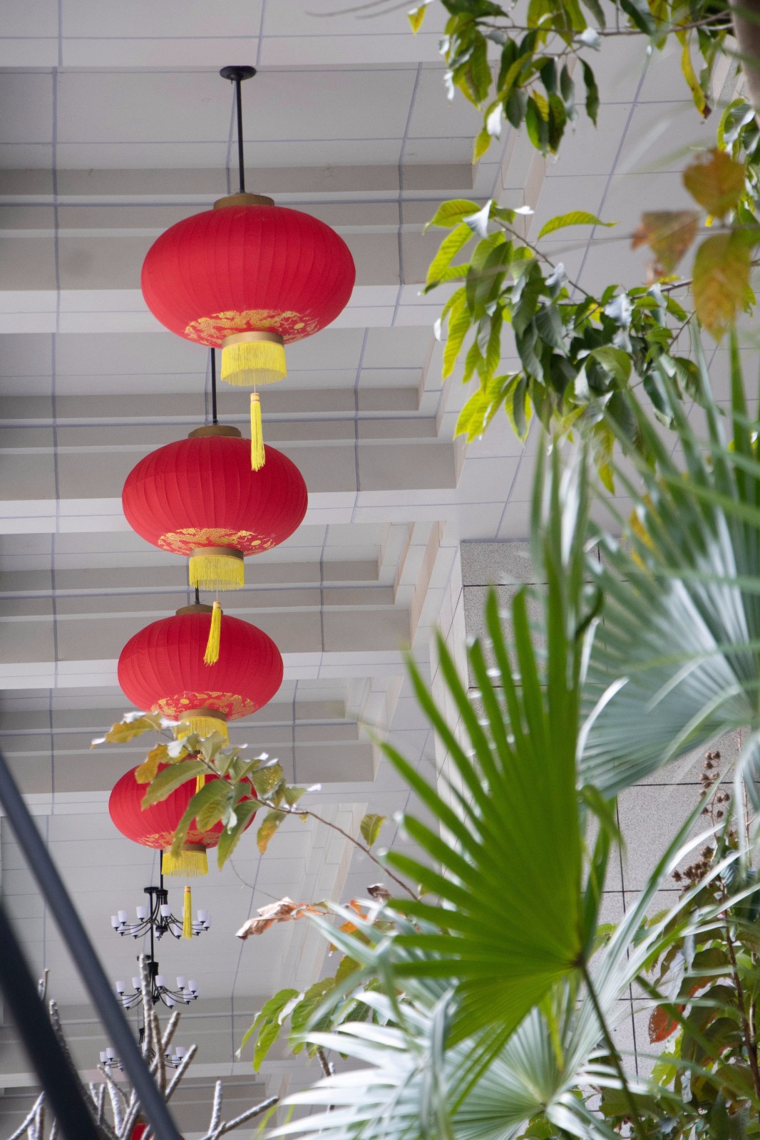 百家乐玩法介绍 - 百家乐技巧