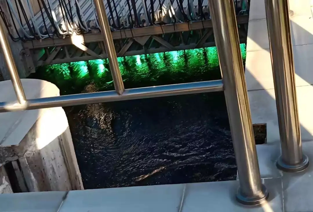 1541042976824064689.jpg 百家乐玩法介绍 - 百家乐技巧