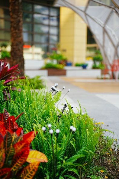 百家乐玩法介绍 - 百家乐技巧