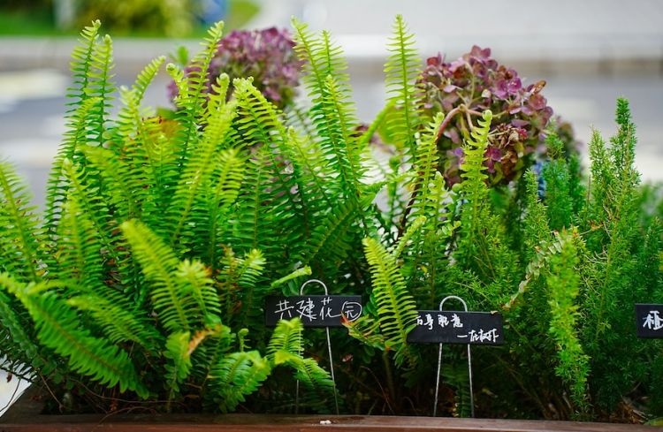 百家乐玩法介绍 - 百家乐技巧