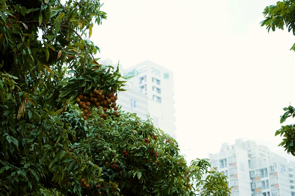 1528100142124070994.jpg 百家乐玩法介绍 - 百家乐技巧