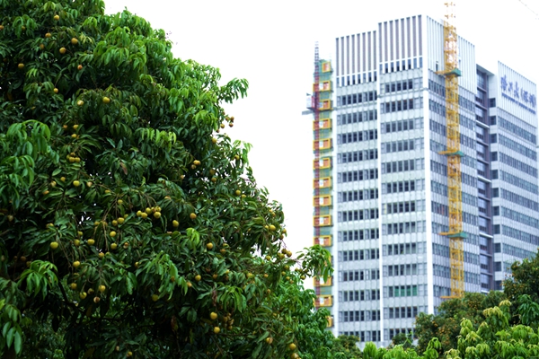 1528099899429004324.jpg 百家乐玩法介绍 - 百家乐技巧