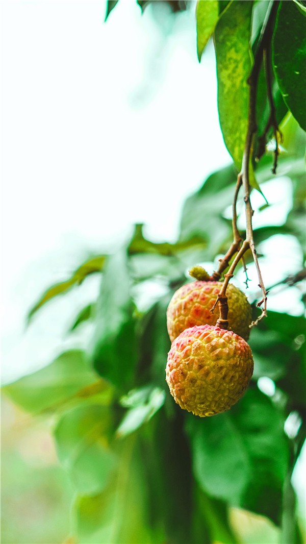 1528099155313015287.jpg 百家乐玩法介绍 - 百家乐技巧