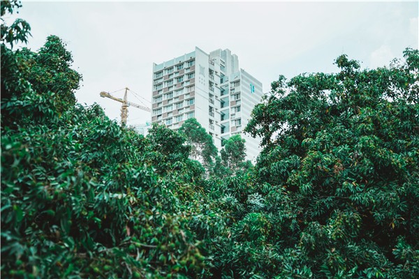 1528099155431039749.jpg 百家乐玩法介绍 - 百家乐技巧