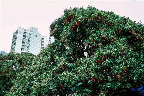 1528099154880055433.jpg 百家乐玩法介绍 - 百家乐技巧