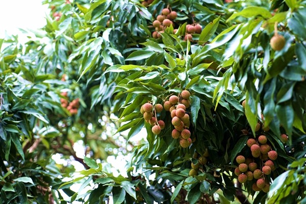 1528099154592057616.jpg 百家乐玩法介绍 - 百家乐技巧