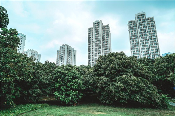 1528099155019098985.jpg 百家乐玩法介绍 - 百家乐技巧