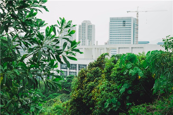 1528099155554055613.jpg 百家乐玩法介绍 - 百家乐技巧