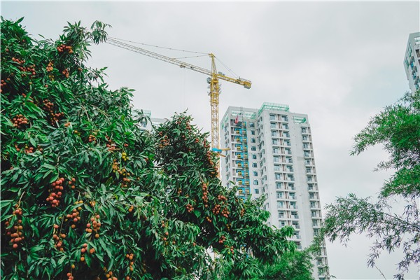 1528099155875056886.jpg 百家乐玩法介绍 - 百家乐技巧