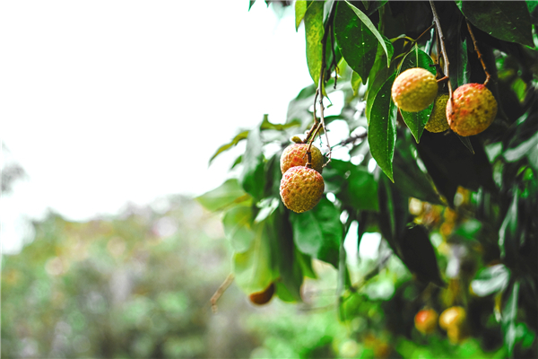 1528099155047000421.jpg 百家乐玩法介绍 - 百家乐技巧