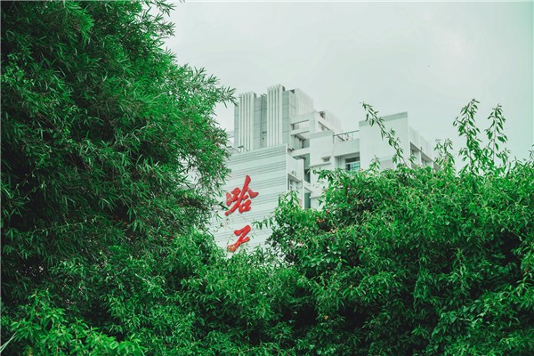 1528099155804005237.jpg 百家乐玩法介绍 - 百家乐技巧